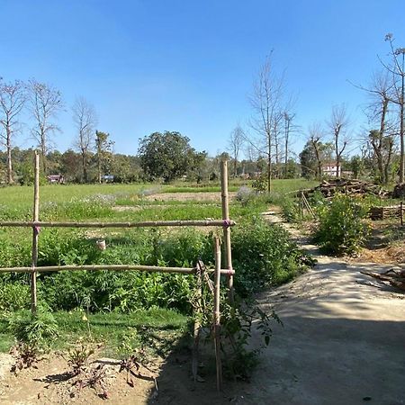 Nanu'S Bardiya Homestay Ngoại thất bức ảnh